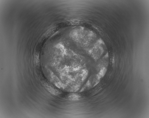 X0000080720610200701021056