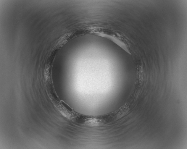 X0000080720611200701021056