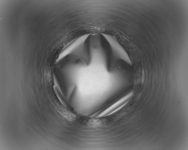 X0000080720613200701021056