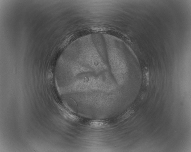 X0000080720614200701021056