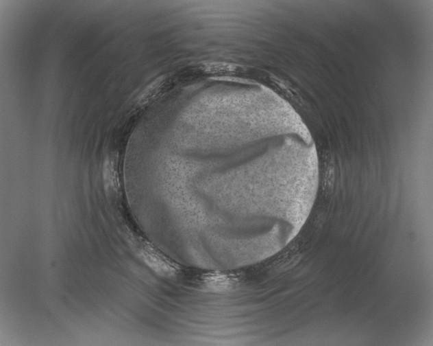 X0000080720616200701021056