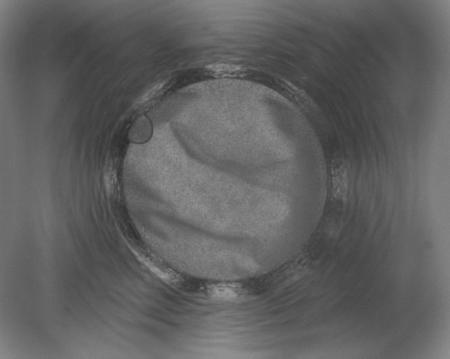 X0000080720618200701021056