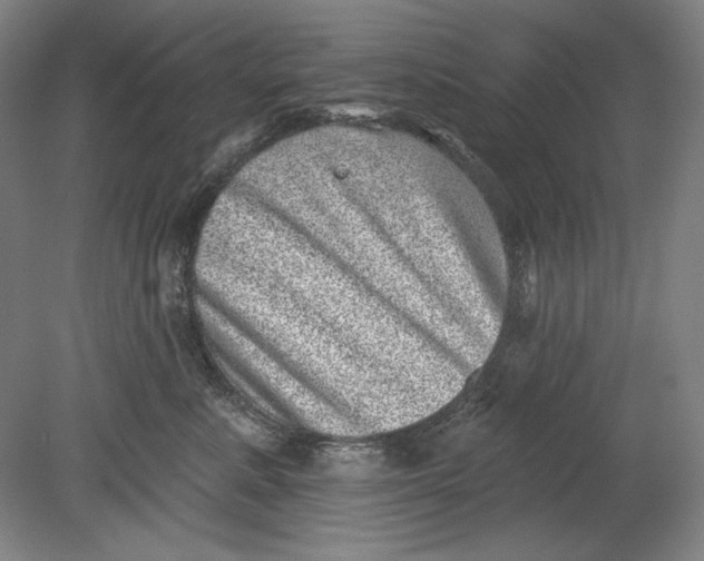 X0000080720619200701021056