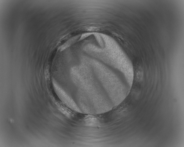 X0000080720620200701021056