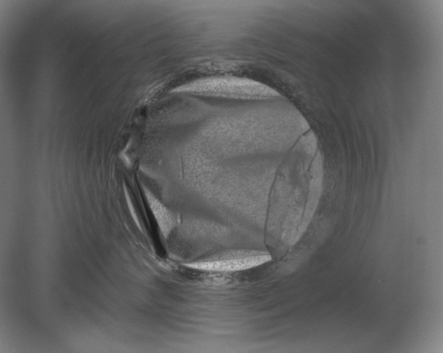 X0000080720624200701021056