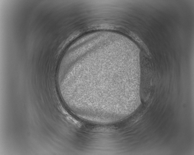 X0000080720625200701021055