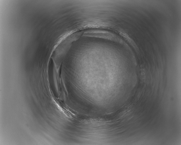 X0000080720626200701021055