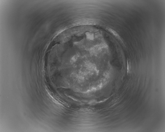 X0000080720627200701021055