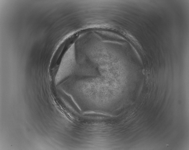 X0000080720628200701021055