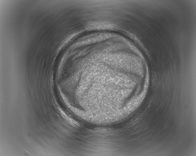 X0000080720629200701021055