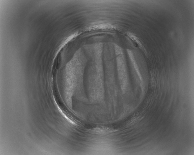 X0000080720630200701021055