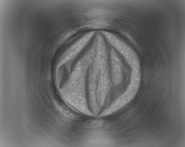 X0000080720631200701021055