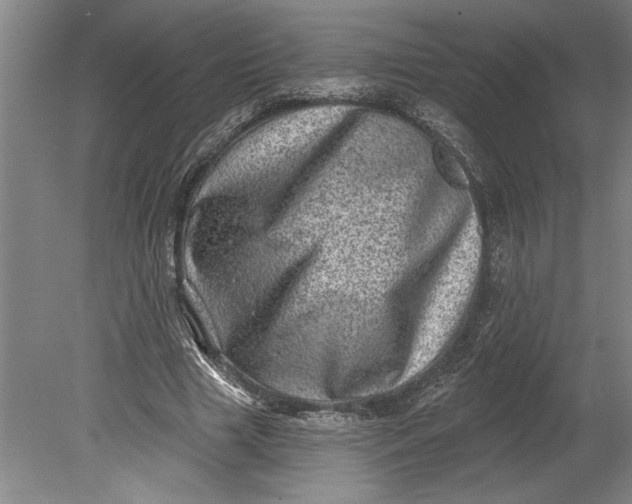 X0000080720633200701021055