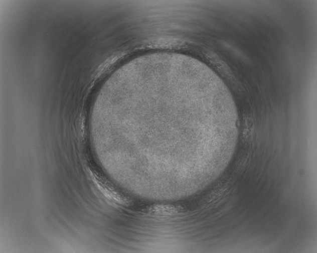 X0000080720636200701021055