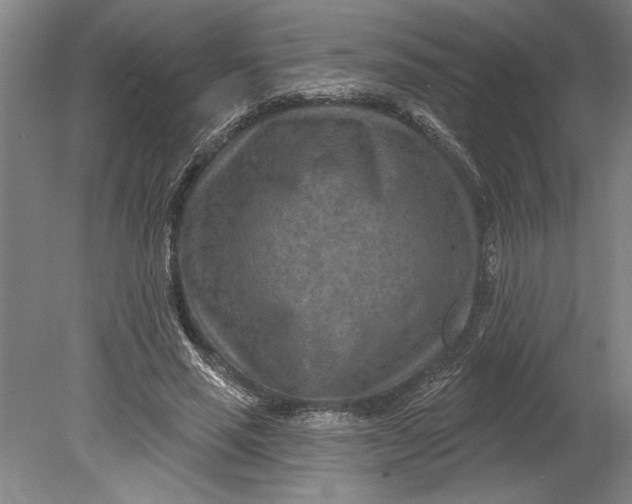 X0000080720637200701021055