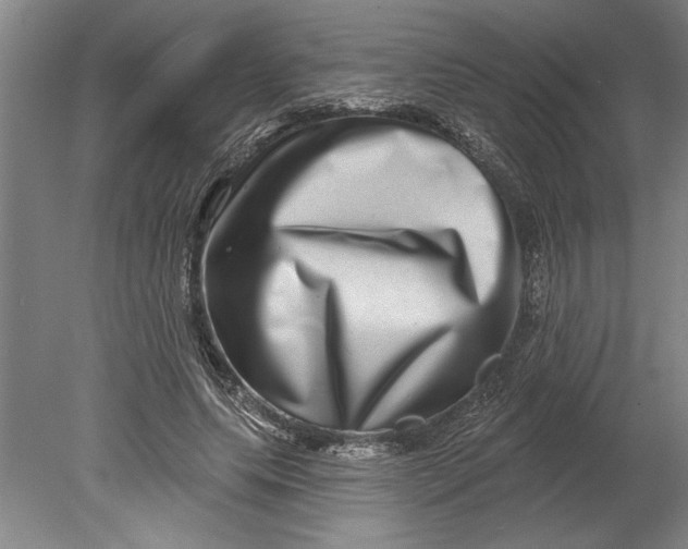 X0000080720639200701021055