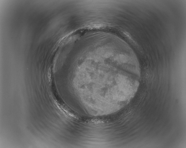 X0000080720640200701021055