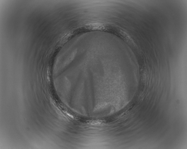 X0000080720643200701021055