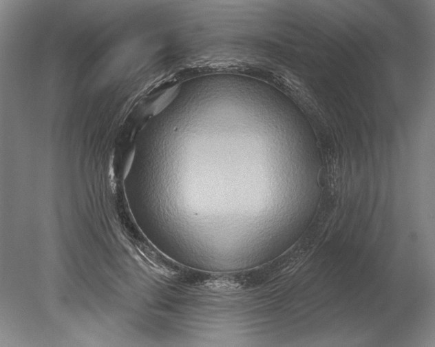 X0000080720644200701021055