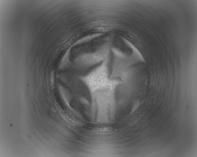 X0000080720646200701021055