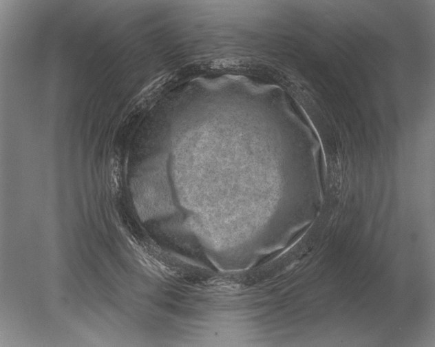 X0000080720648200701021055