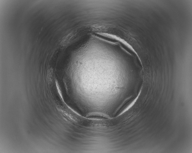 X0000080720649200701021055