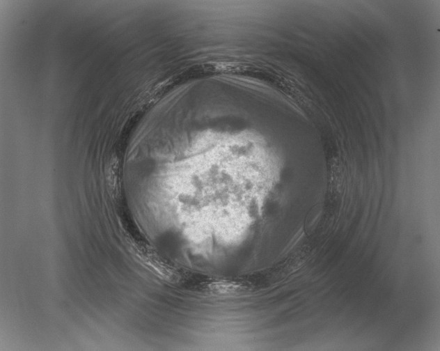 X0000080720650200701021055