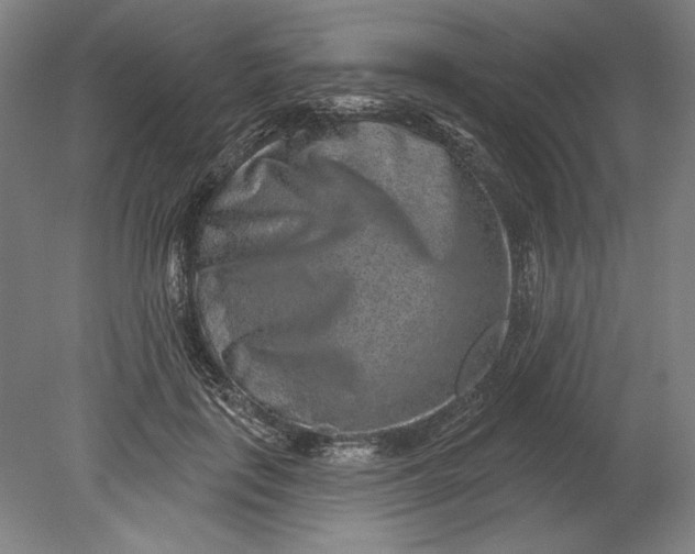 X0000080720651200701021055