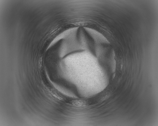 X0000080720652200701021055