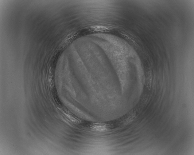 X0000080720653200701021055