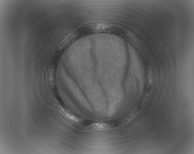 X0000080720654200701021055