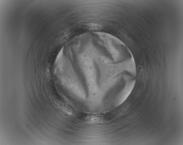 X0000080720655200701021055