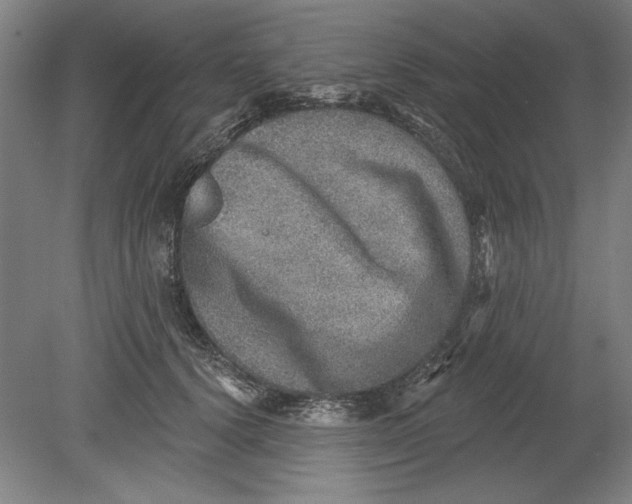 X0000080720656200701021055