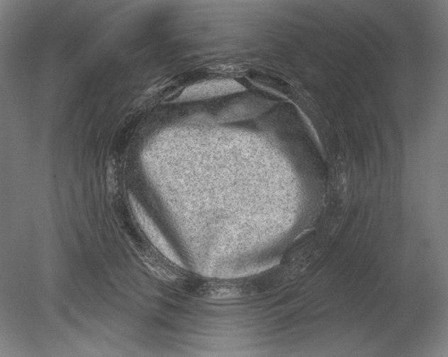 X0000080720658200701021055