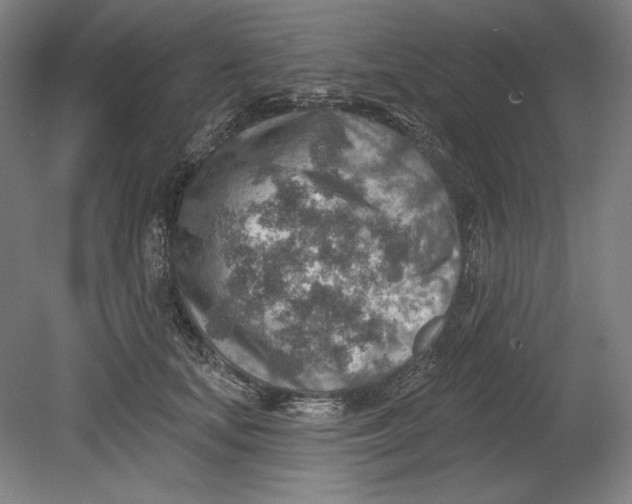 X0000080720659200701021055