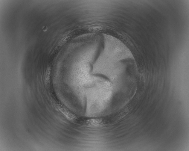 X0000080720660200701021055