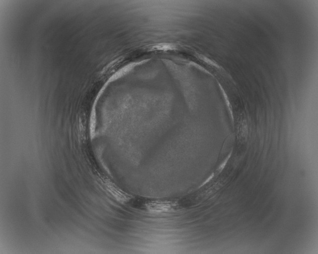 X0000080720661200701021055