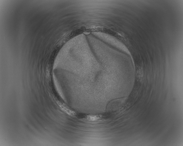 X0000080720662200701021055