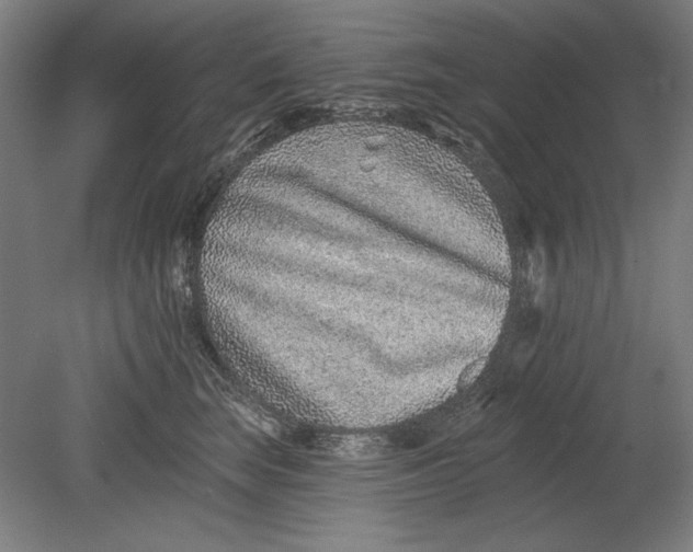 X0000080720663200701021055