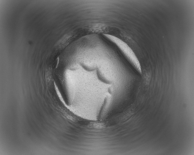 X0000080720665200701021055