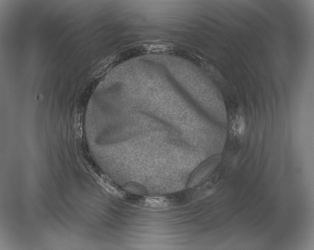 X0000080720666200701021055