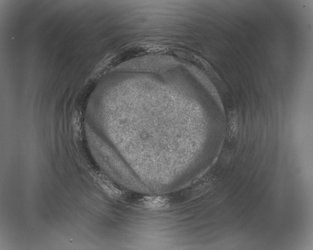 X0000080720667200701021056