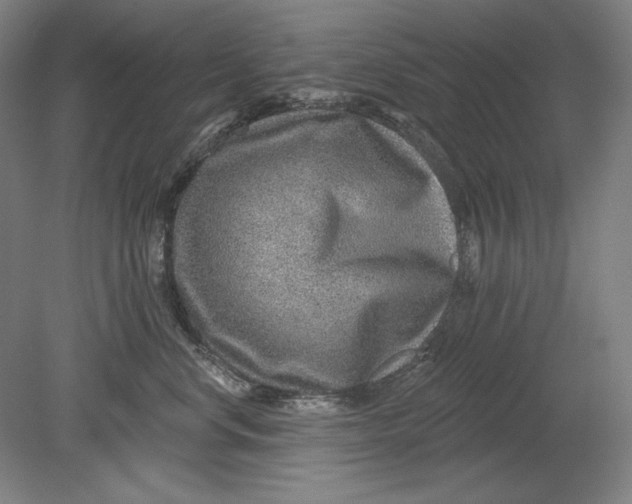 X0000080720668200701021056