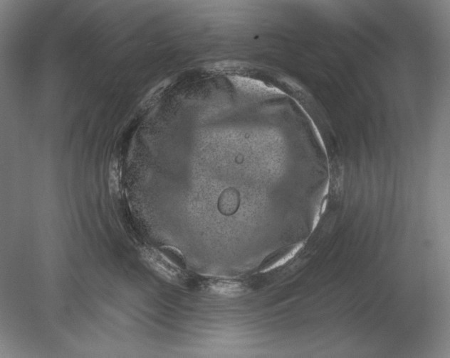 X0000080720669200701021056