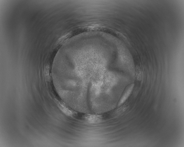 X0000080720670200701021056