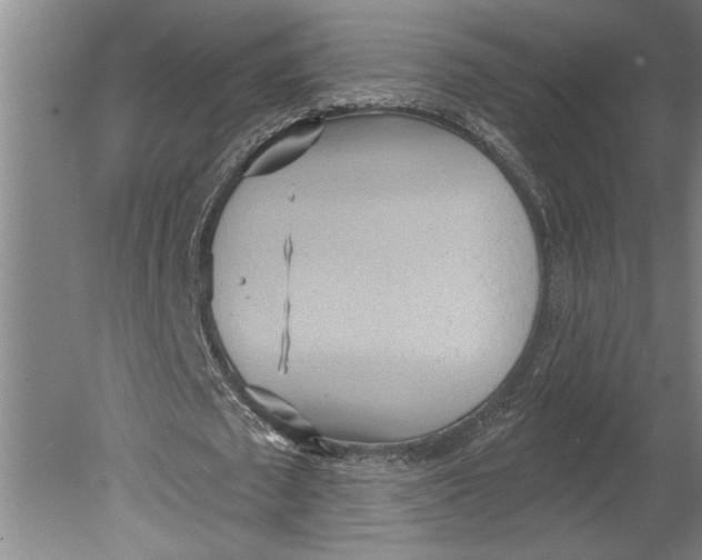 X0000080720673200701021055