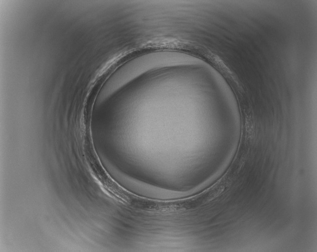 X0000080720674200701021055