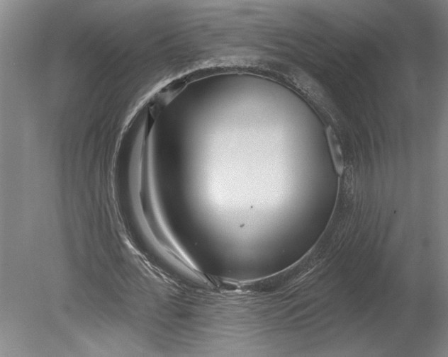 X0000080720676200701021055