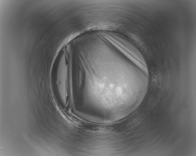 X0000080720678200701021055