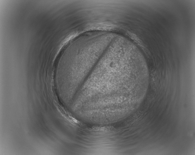 X0000080720679200701021055